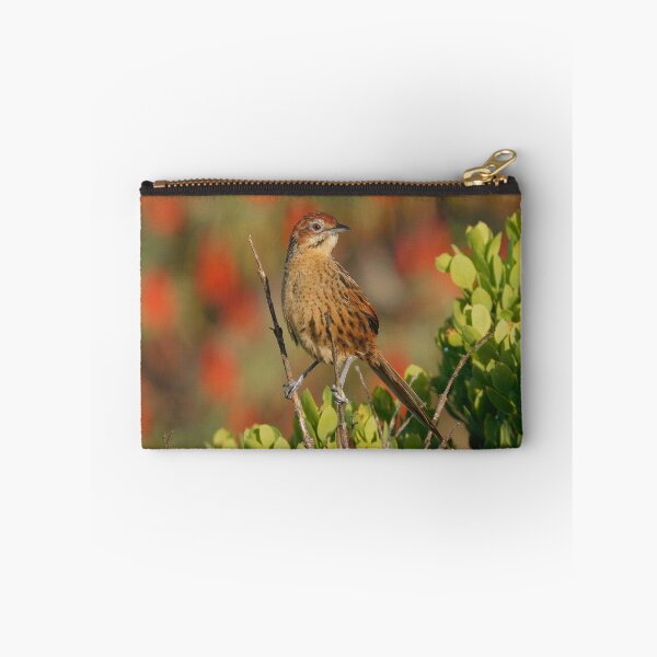 Item preview, Cape Grassbird,  designed and sold by Zoeljartwork.