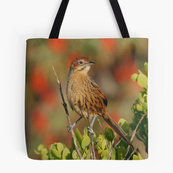 Item preview, Cape Grassbird,  designed and sold by Zoeljartwork.