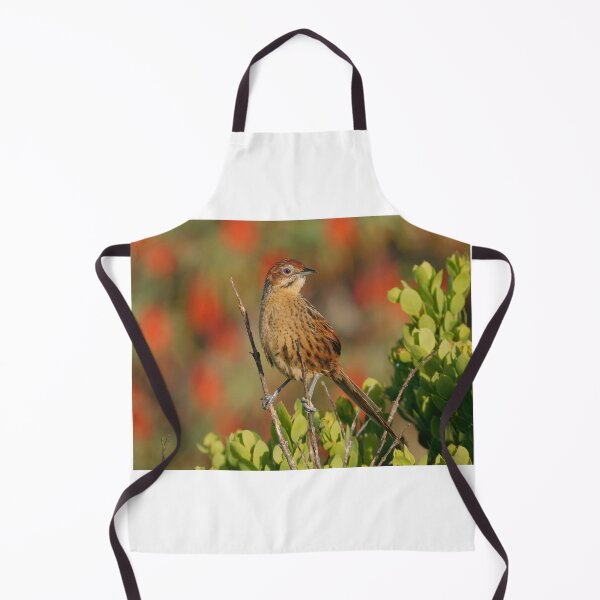 Item preview, Cape Grassbird, designed and sold by Zoeljartwork.