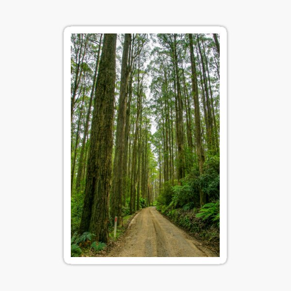 Item preview, Mount Donna Buang, Warburton, Victoria, Australia designed and sold by rossacampbell.