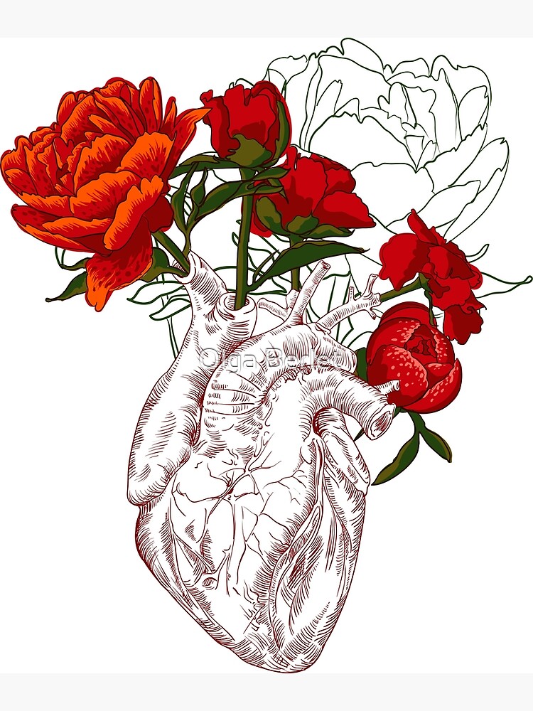 Drawing Human Heart With Flowers Postcard By Olgaberlet Redbubble