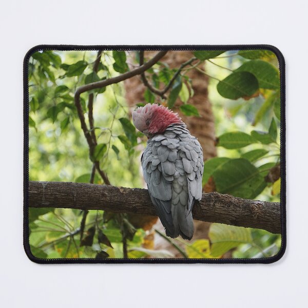 Item preview, Galah Cockatoo designed and sold by Nicole Gath.