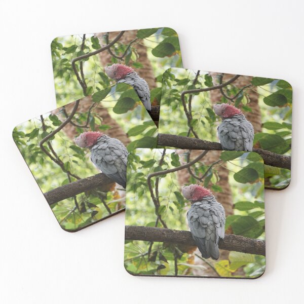 Item preview, cacatúa galah designed and sold by Nicole Gath.