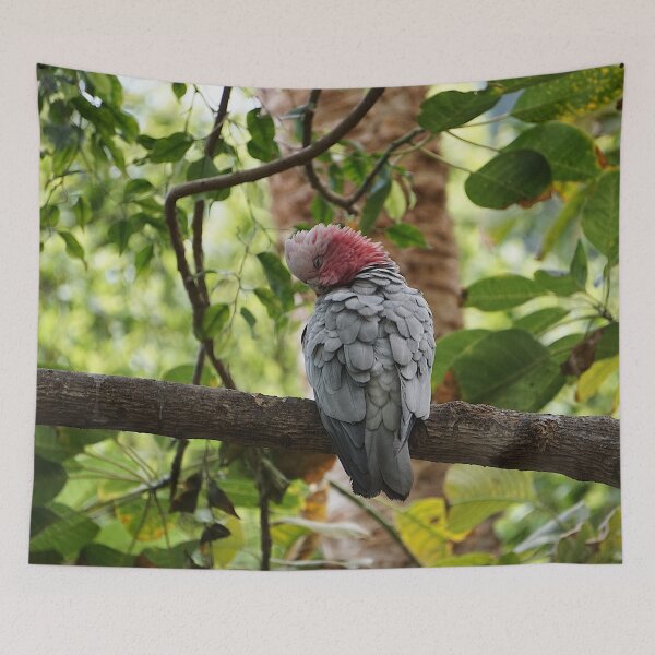 Item preview, cacatúa galah designed and sold by Nicole Gath.