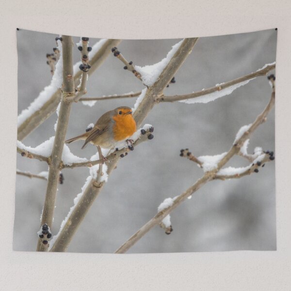 Item preview, Robin in the snow designed and sold by HaleyRedshaw.