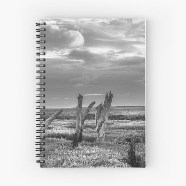 Item preview, Ancient Relic of Thornham Staithe Black and White designed and sold by Jim Key.