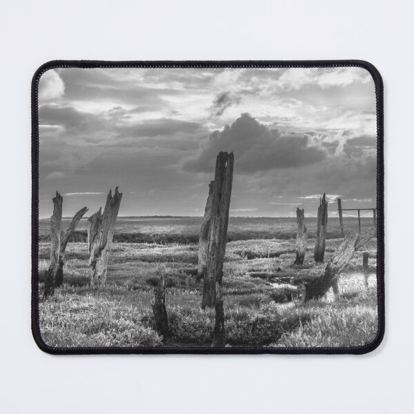 Item preview, Ancient Relic of Thornham Staithe Black and White designed and sold by Jim Key.