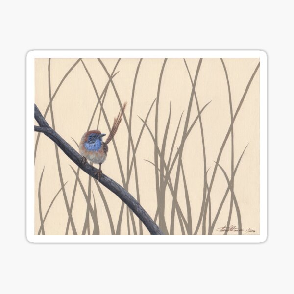 Item preview, Emu Wren designed and sold by DittmannArts.