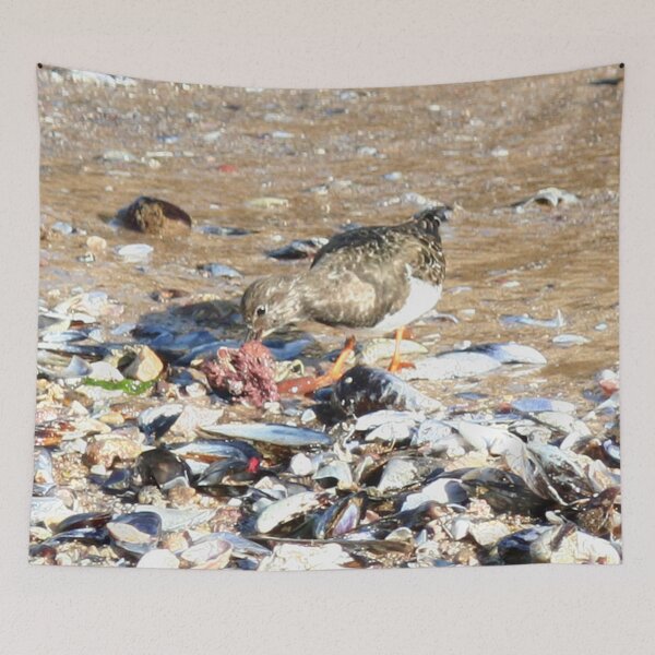 Item preview, Sandpiper bird feeding from a red seaweed designed and sold by Anna Lemos.