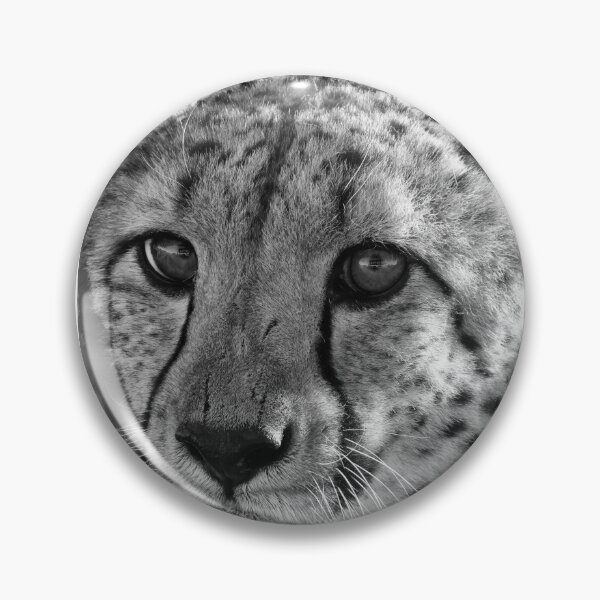 Item preview, Head cheetah in Namibia designed and sold by Photopat.