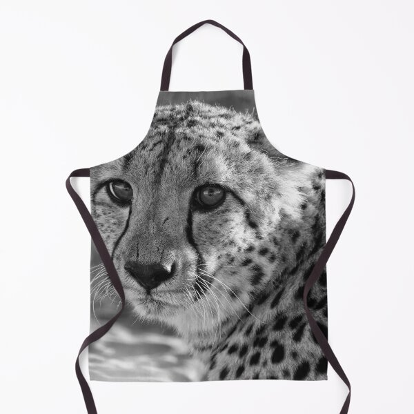 Item preview, Head cheetah in Namibia designed and sold by Photopat.