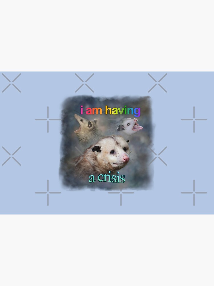 Life is soup, I am fork possum word art Sticker for Sale by snazzyseagull