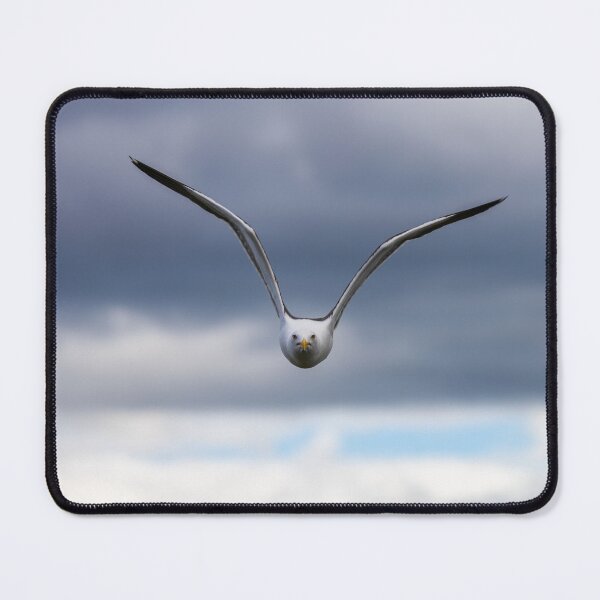Item preview, Angry Seagull designed and sold by Jonathan Lundkvist.