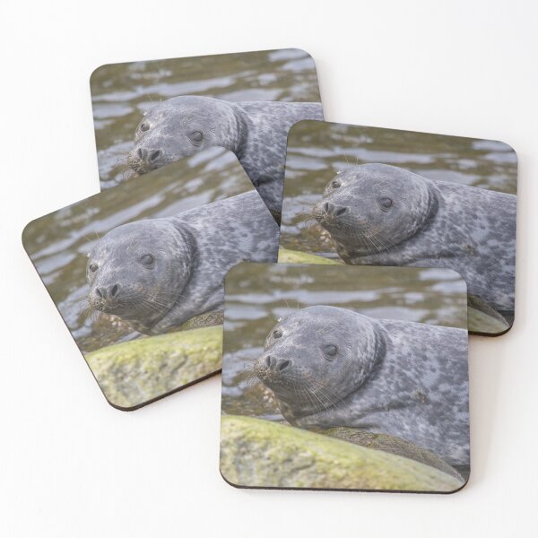 Item preview, Grey Seal Cub designed and sold by Jonathan Lundkvist.