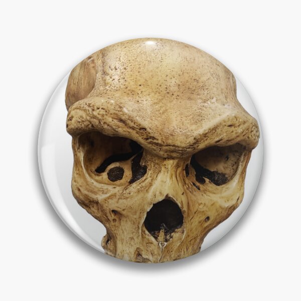 Item preview, Homo Heidelbergensis Skull designed and sold by ArtChiceric.