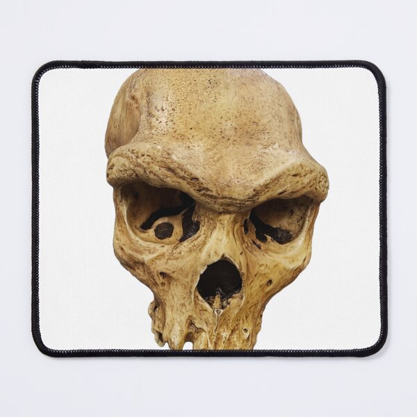 Item preview, Homo Heidelbergensis Skull designed and sold by ArtChiceric.