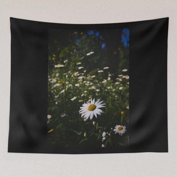 Aperçu de l'œuvre Prairie Marguerite -- Prairie Marguerites -- Prairie Marguerite créée et vendue par Ruhrpottpicture.