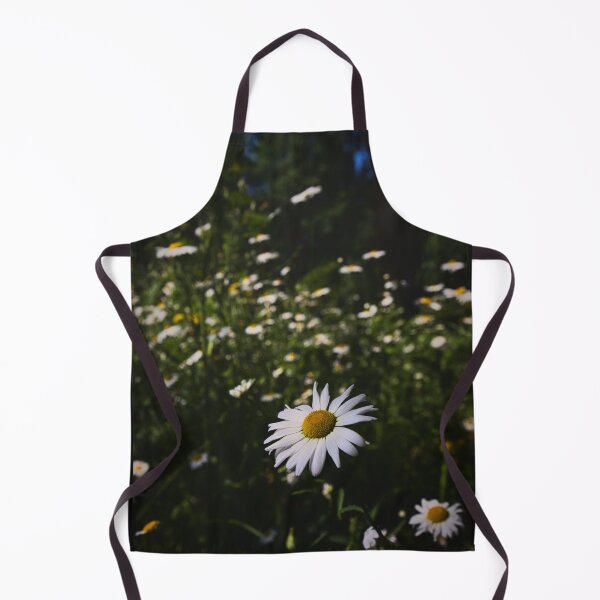 Aperçu de l'œuvre Prairie Marguerite -- Prairie Marguerites -- Prairie Marguerite créée et vendue par Ruhrpottpicture.