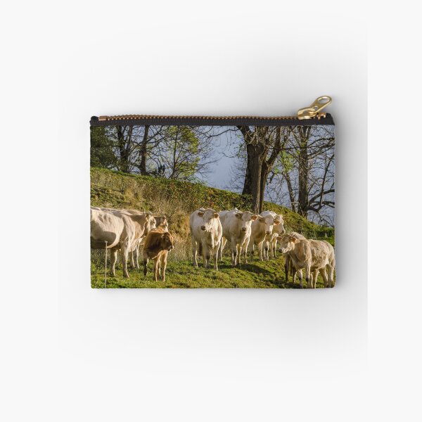 Item preview, Brown and white cows on the sun, calm and tranquil pasturage, Pyrenees, France designed and sold by Alexander Sorokopud.