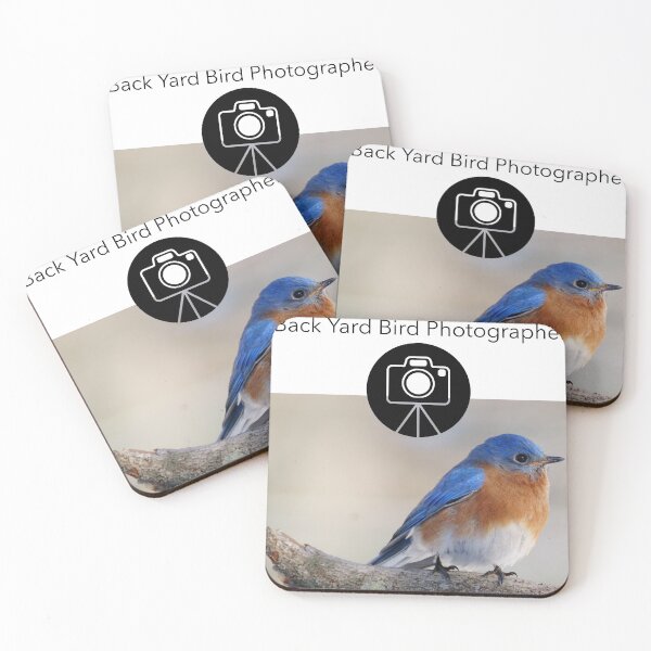 Item preview, Back Yard Bird Photographer. designed and sold by phelanartwork67.