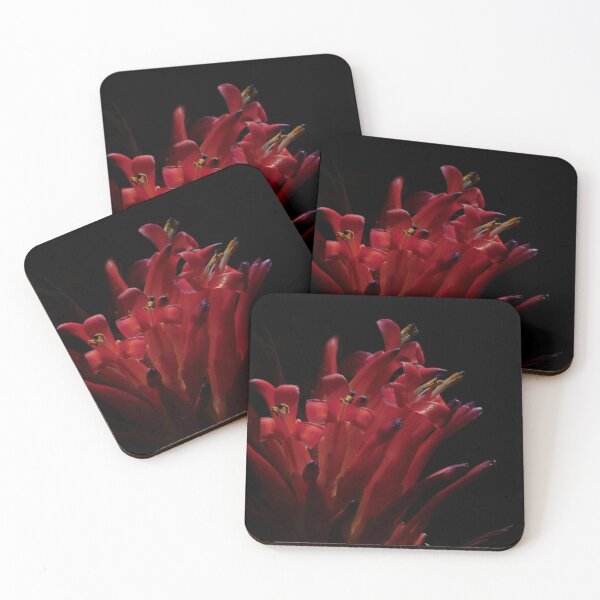 Item preview, Red Guzmania Bromeliad designed and sold by Zoeljartwork.