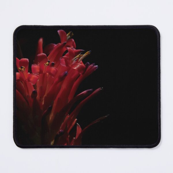Item preview, Red Guzmania Bromeliad designed and sold by Zoeljartwork.