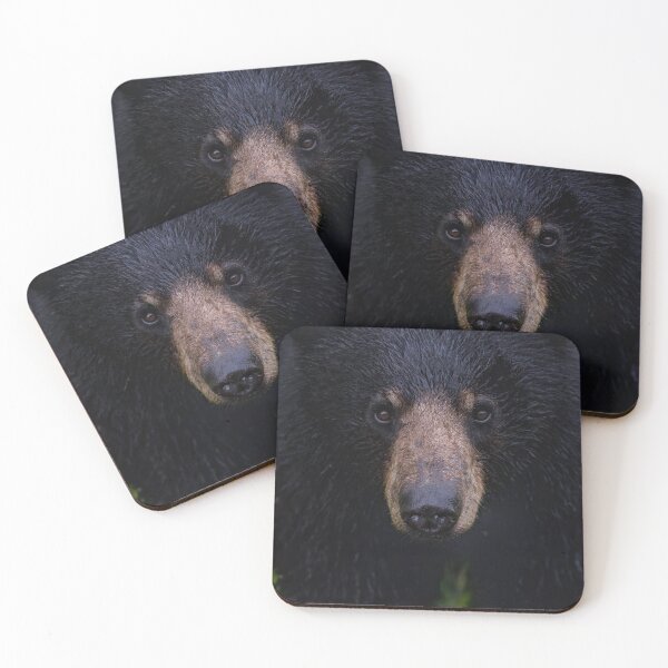 Item preview, Black Bear Portrait designed and sold by Vargulich.