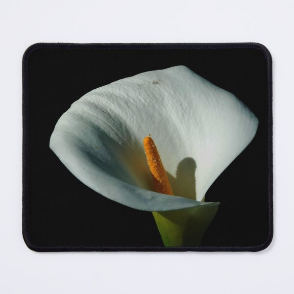 Item preview, Arum Lily designed and sold by Zoeljartwork.