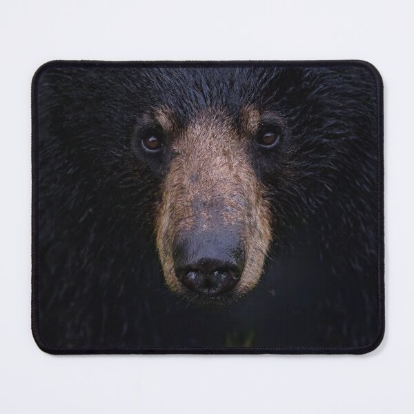 Item preview, Black Bear Portrait designed and sold by Vargulich.