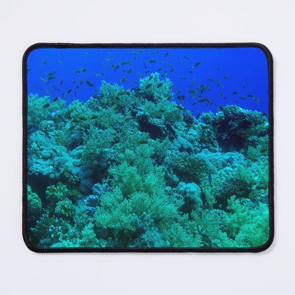 Item preview, Coral reef with fishes designed and sold by likbatonboot.