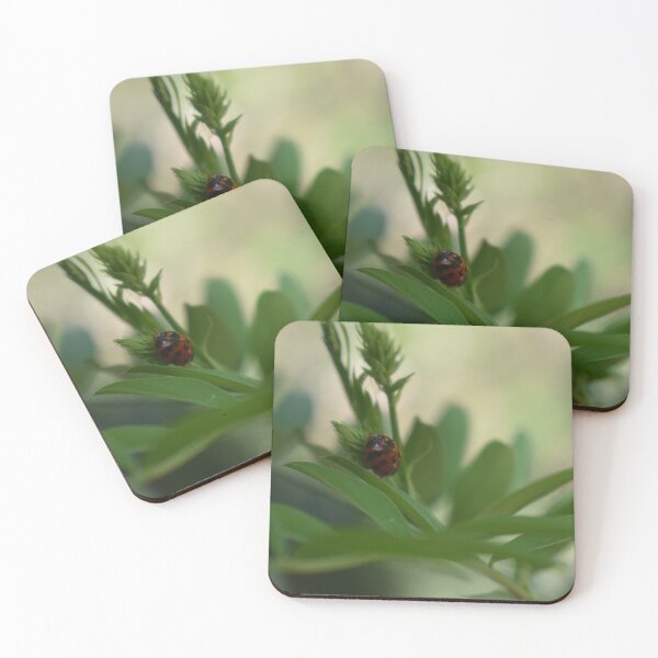 Item preview, Tranquil scene with ladybug on acacia branch designed and sold by mariya-ivanova.