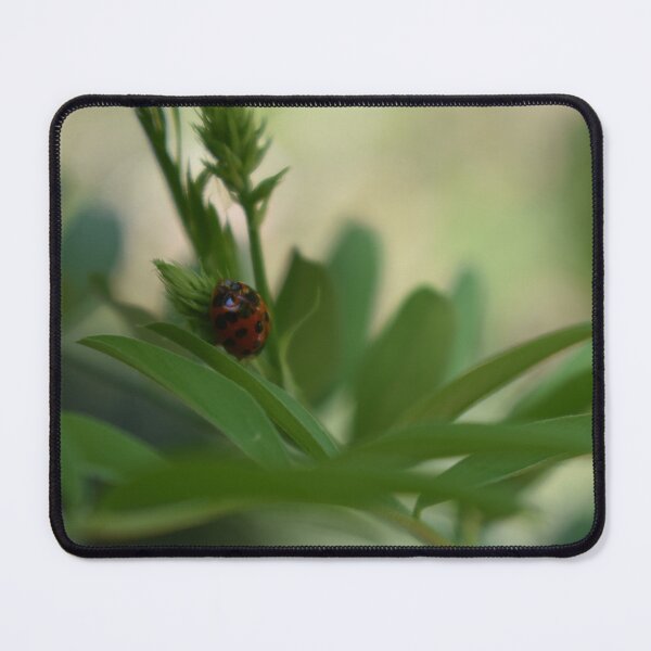 Item preview, Tranquil scene with ladybug on acacia branch designed and sold by mariya-ivanova.
