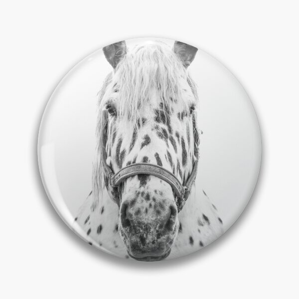 Item preview, Black & White Spotted Horse designed and sold by victoria frost.