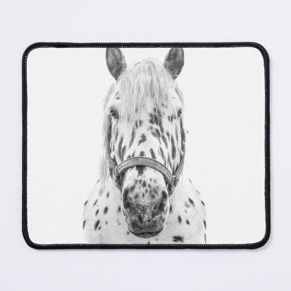 Item preview, Black & White Spotted Horse designed and sold by victoria frost.