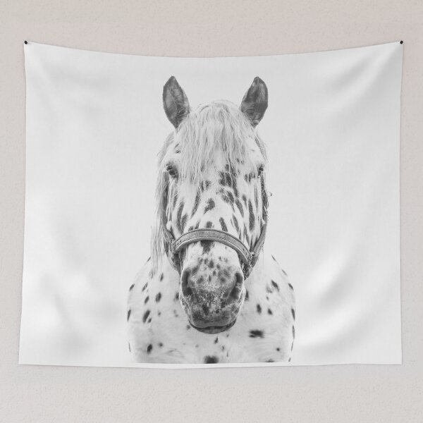 Item preview, Black & White Spotted Horse designed and sold by victoria frost.