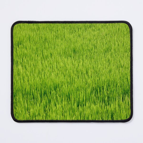 Item preview, Dreamy Rice Field 3 - Nature designed and sold by joejiing.