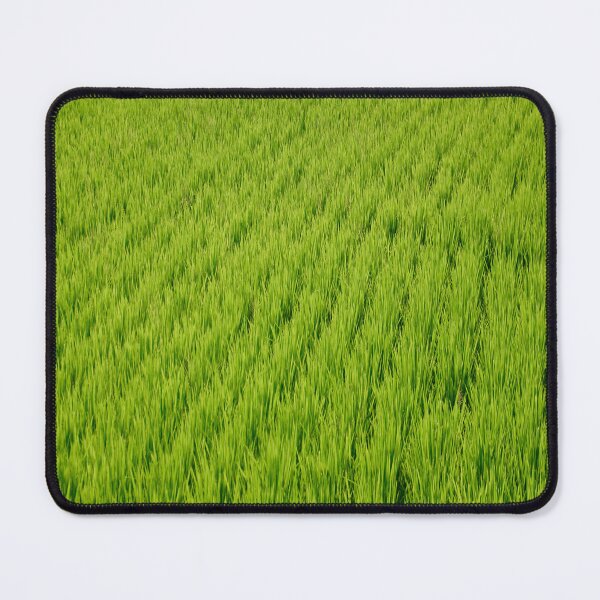 Item preview, Dreamy Rice Field - Nature designed and sold by joejiing.