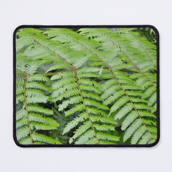Item preview, Lively Fern Leaves - Nature designed and sold by joejiing.
