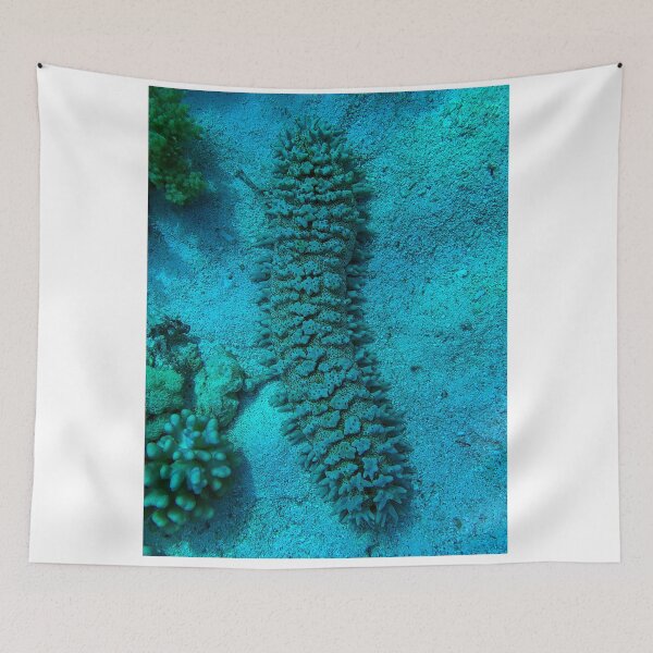 Item preview, Sea cucumber designed and sold by likbatonboot.