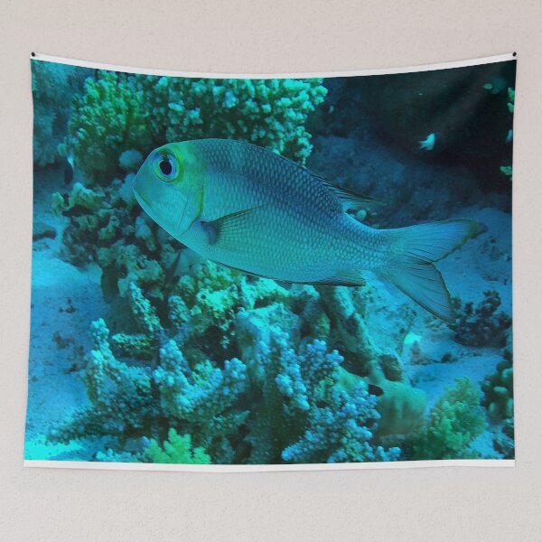 Item preview, Reef fish designed and sold by likbatonboot.