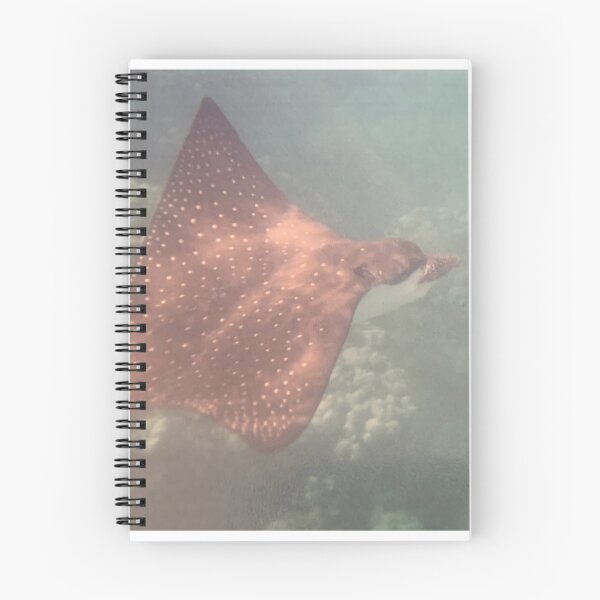 Item preview, Spotted eagle ray above coral designed and sold by Nature Photography by Wendi Gordon.