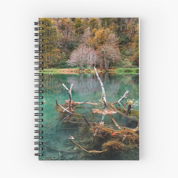 Item preview, Natural autumnal landscape, lake in the high mountains designed and sold by Alexander Sorokopud.