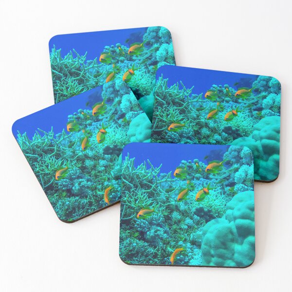 Item preview, Coral reef and fishes designed and sold by likbatonboot.