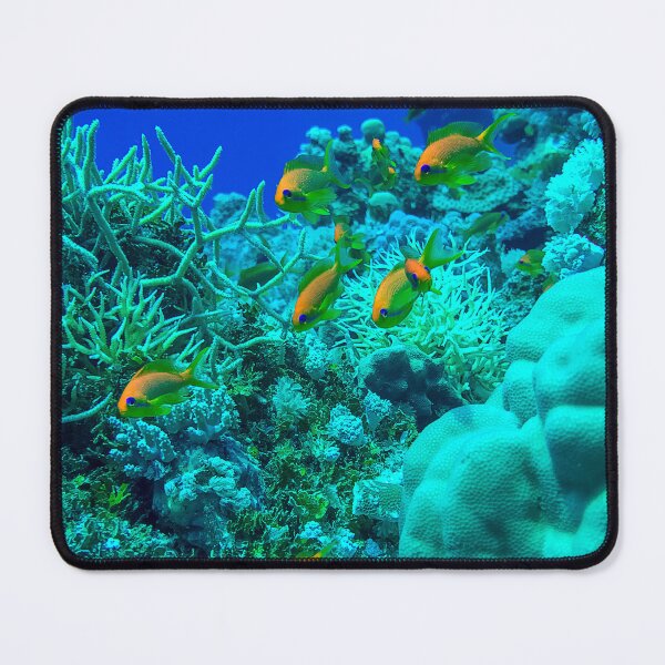 Item preview, Coral reef and fishes designed and sold by likbatonboot.