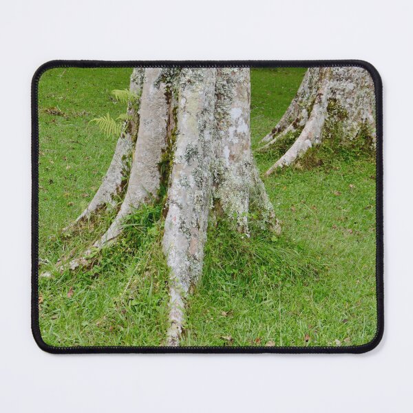 Item preview, Rain Forest Tree 5 - Nature designed and sold by joejiing.
