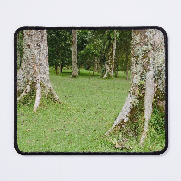 Item preview, Rain Forest Tree 4 - Nature designed and sold by joejiing.