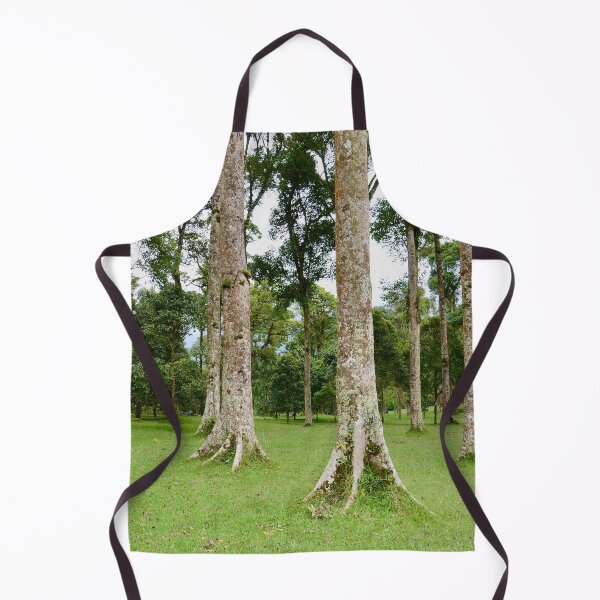 Item preview, Rain Forest Tree 2 - Nature designed and sold by joejiing.