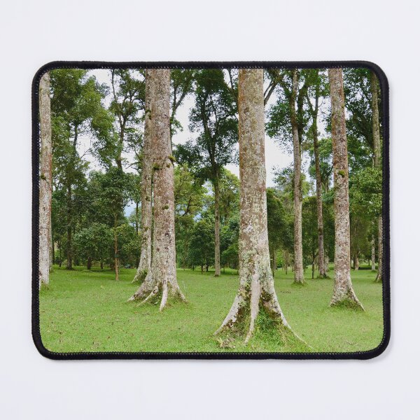 Item preview, Rain Forest Tree 2 - Nature designed and sold by joejiing.