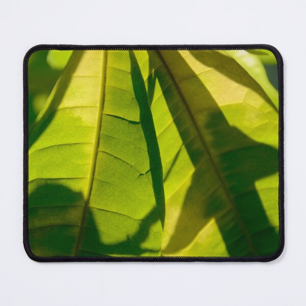 Item preview, Green leaves shadow under sunlight variation - Nature designed and sold by joejiing.