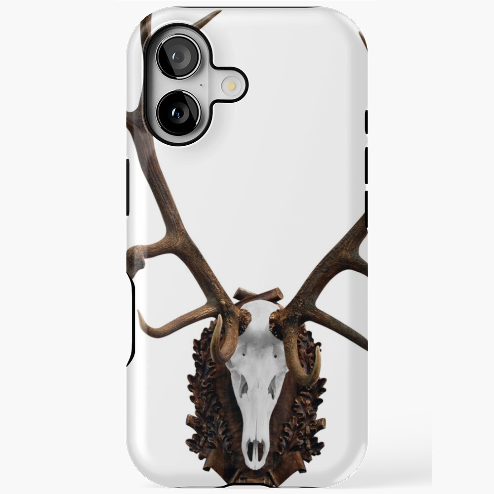 Deer skull with big horn hunting trophy isolated